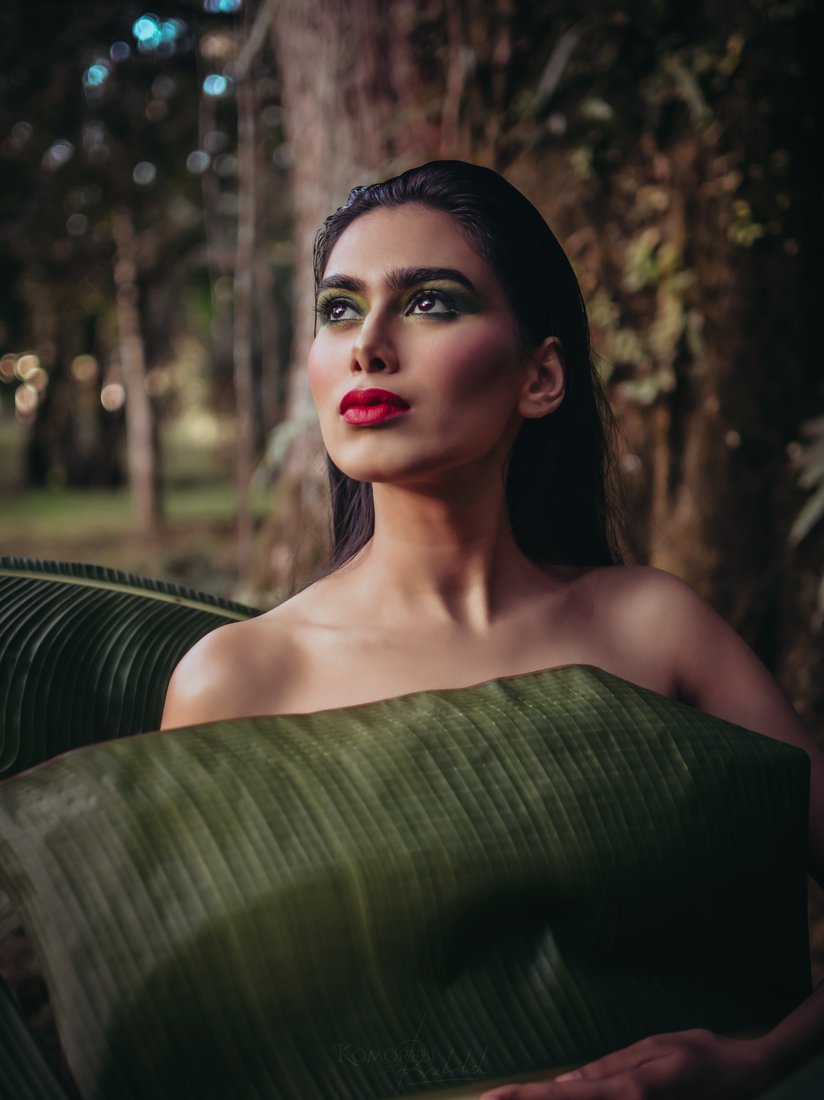 Emerald Eye — Forest Light
